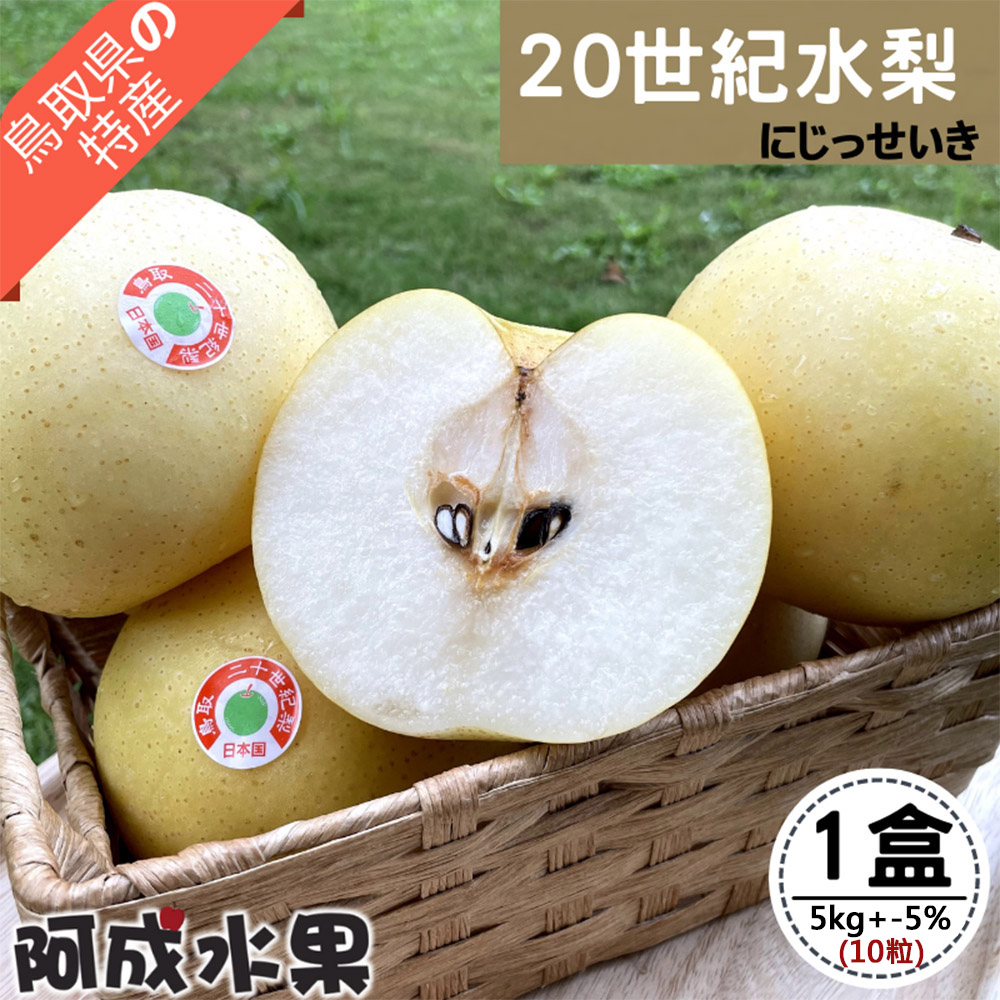 yesgogogo - 【阿成水果】日本鳥取特大二十世紀水梨(10粒/5kg/箱)