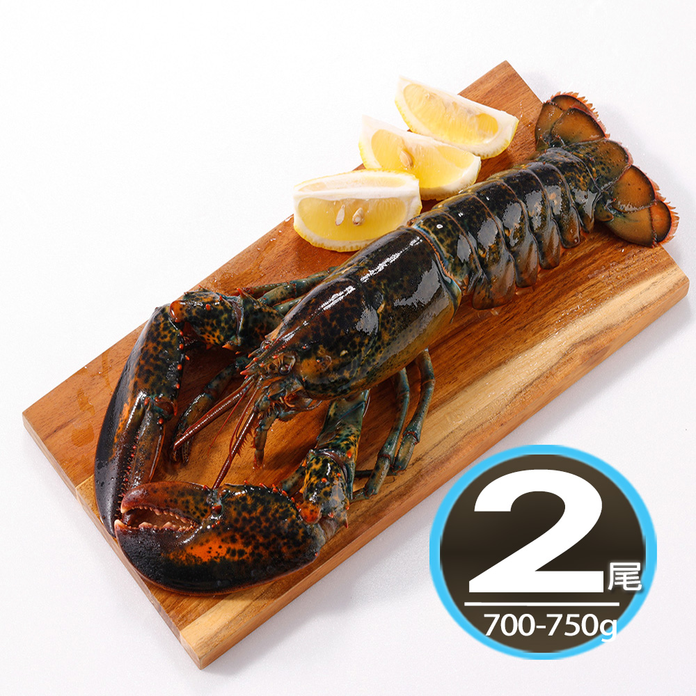【華得水產】活凍波士頓龍蝦2尾(700-750g/尾/特大尾)X2尾入